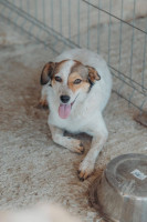 /album/261/whatsapp-image-2026-03-11-at-21-02-01-jpeg/